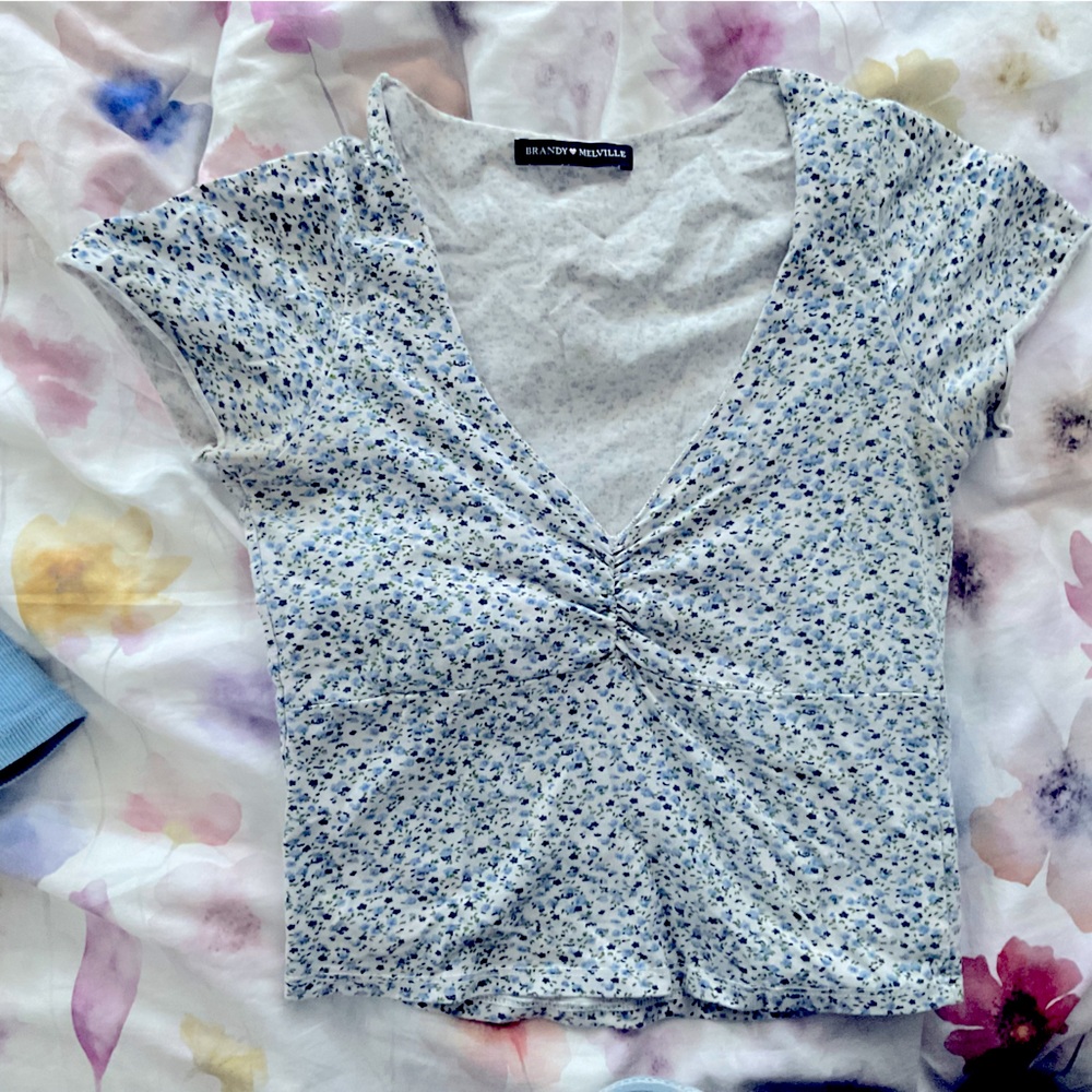 Brandy Melville Crop Top